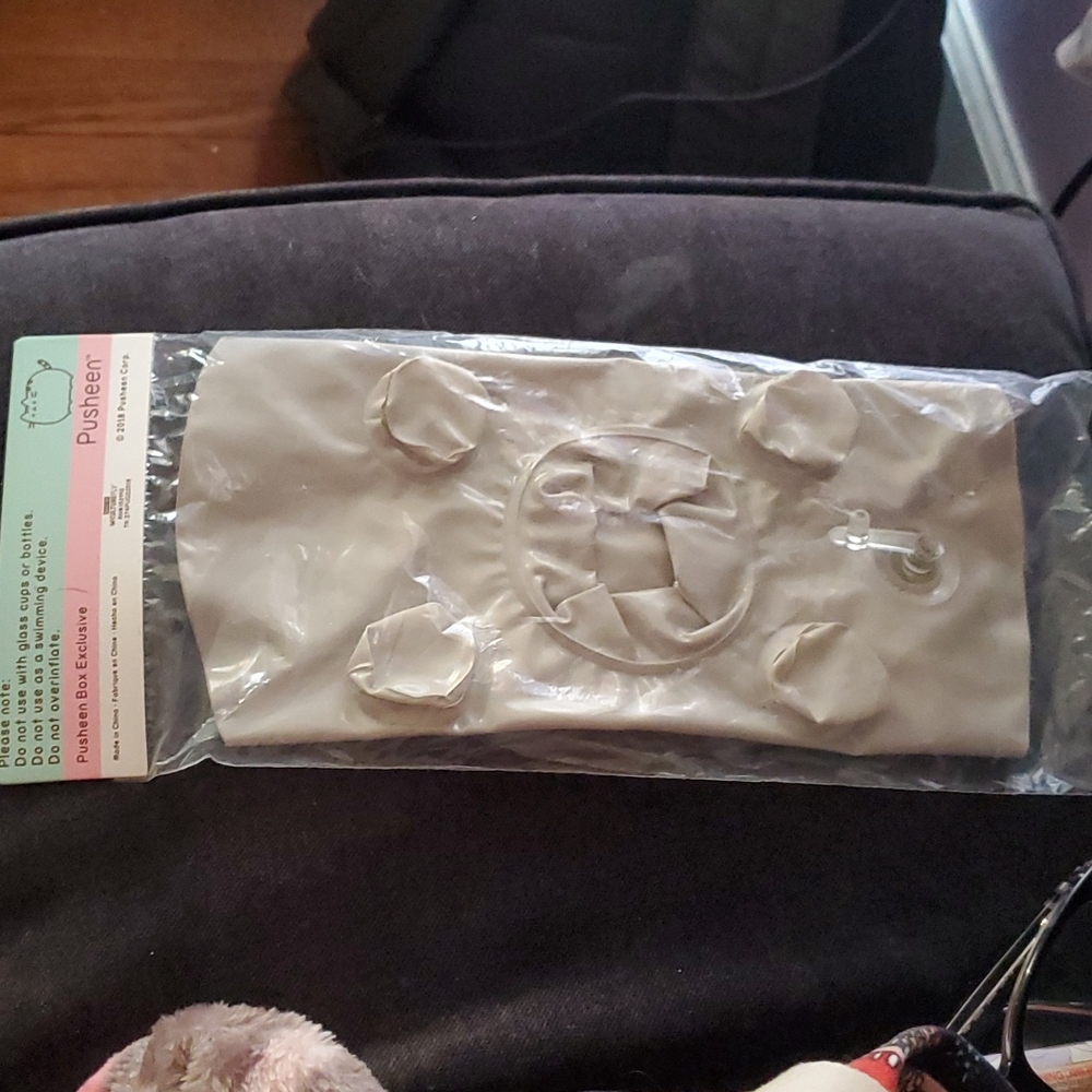Pusheen Inflatable beverage float - Picture 3 of 4